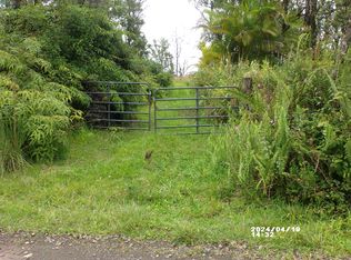 11-2202 Omeka Rd, Volcano, HI 96785