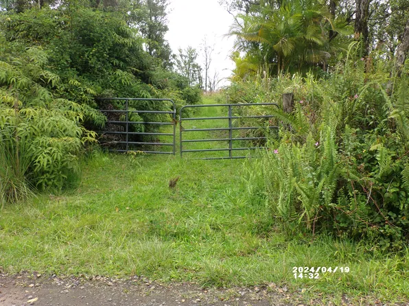 11-2202 Omeka Rd Lot 50, Volcano, HI 96785