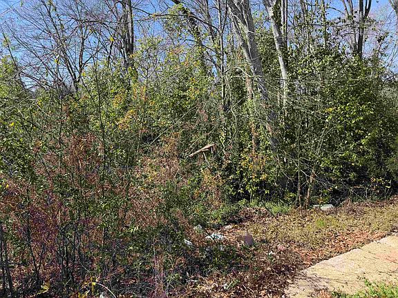 2nd image of 9 Allen St