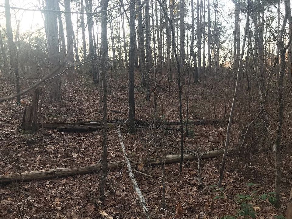 2nd image of 0.8 Ac Pistol Creek Road