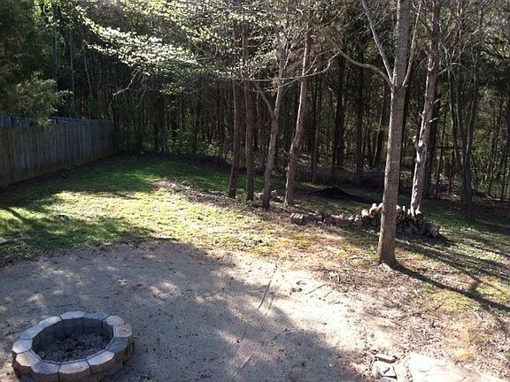 Fenced Backyard w/Fire pit