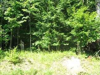 2nd image of 00 Glenburnie Road