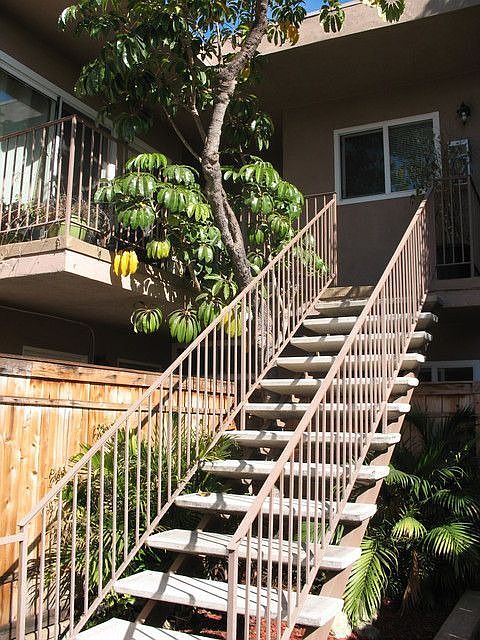 2nd image of 3345 29th St APT 7