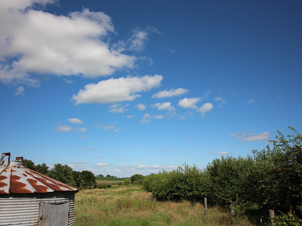 Back field view