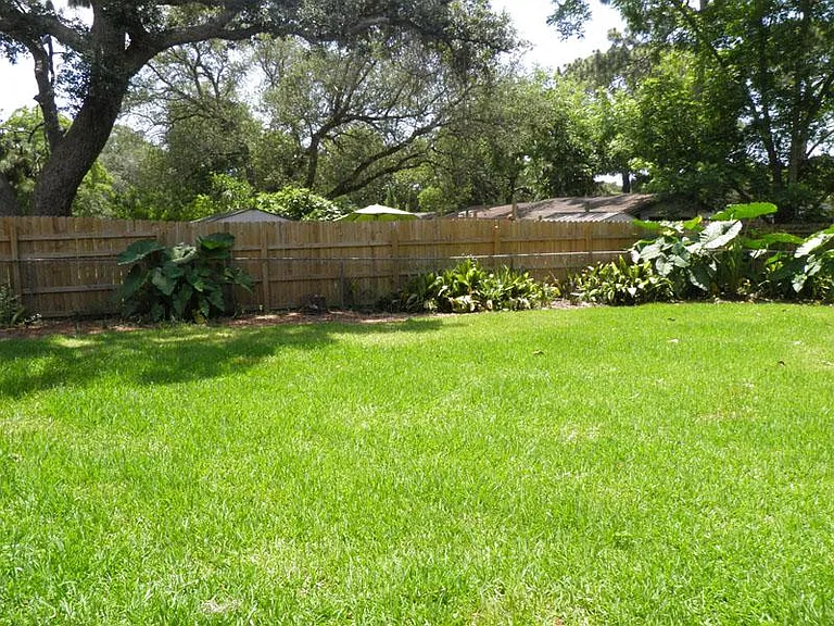 Large backyard