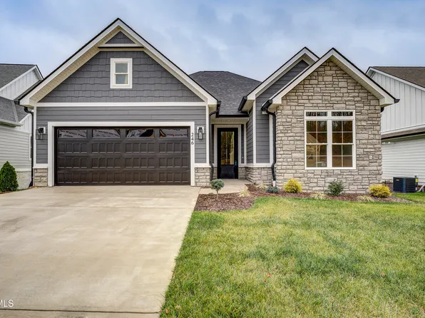 246 Winston Pl, Johnson City, TN 37615