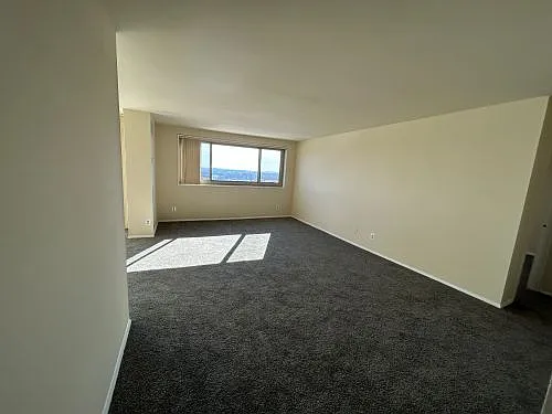9727 Mount Pisgah Rd — Photo 195