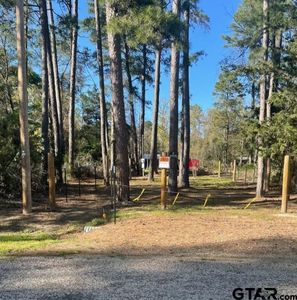 LOT 52 King Ramses Rd, Scroggins, TX, 75480
