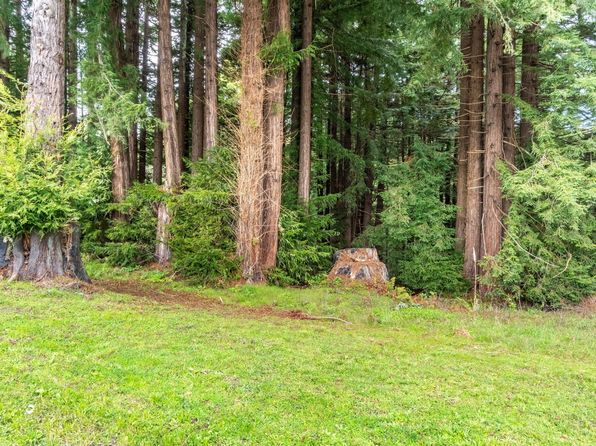 2501 Hill Ln, Hydesville, CA 95547