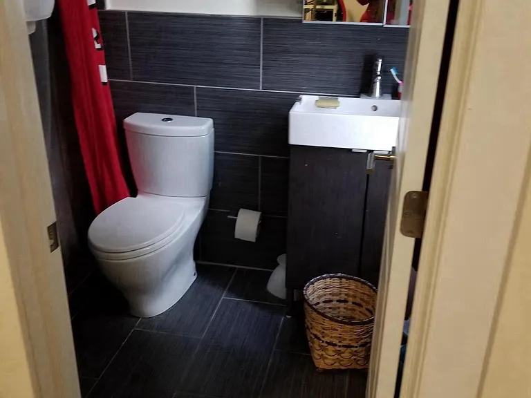 renovated bathroom with shower tree