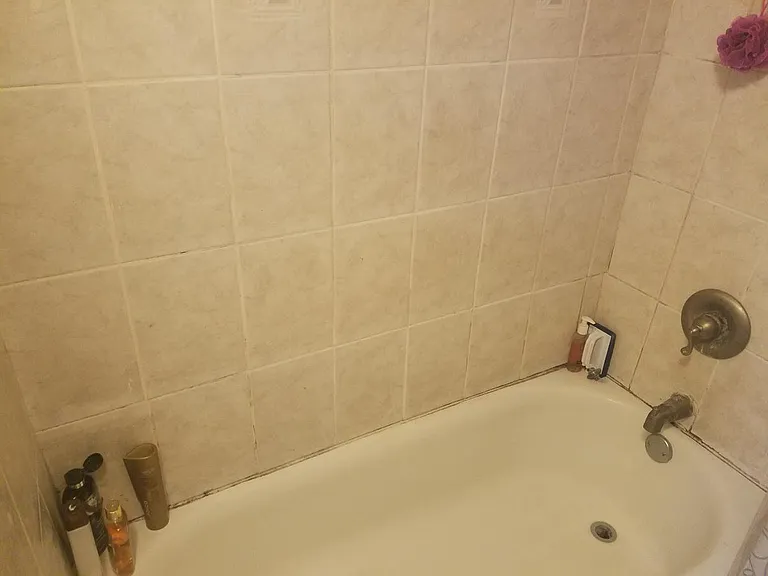 2004 Spring Garden St #3R — Photo 7