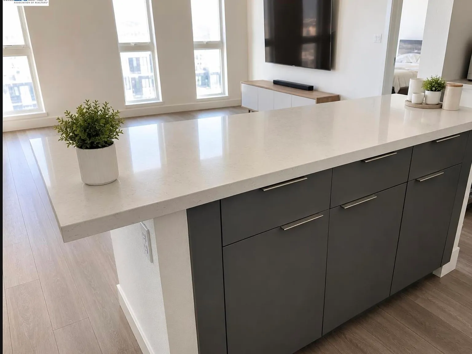 2 bed, 1049 sqft, $4,250 — Photo 3