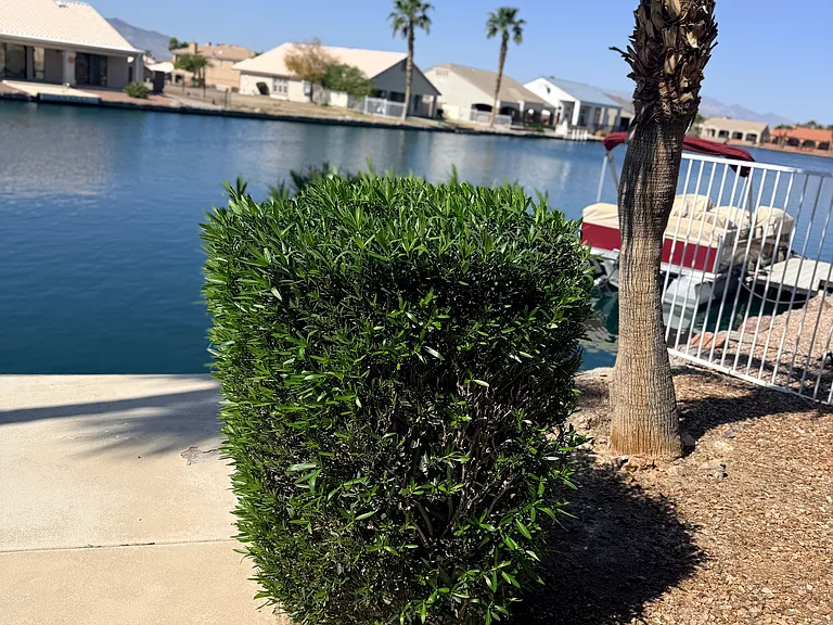 Beautiful lake views