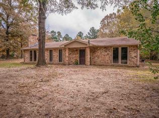 12132 Spider Lily Rd, Diana, TX 75640