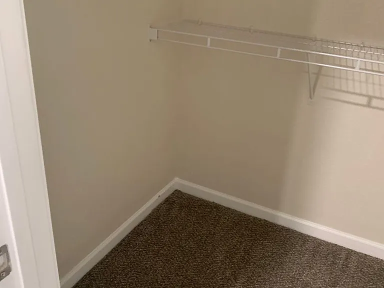 119 Swaying Pine Ct — Photo 8