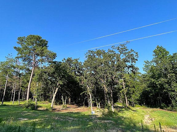 3rd image of 3242 Shadow Pine Dr