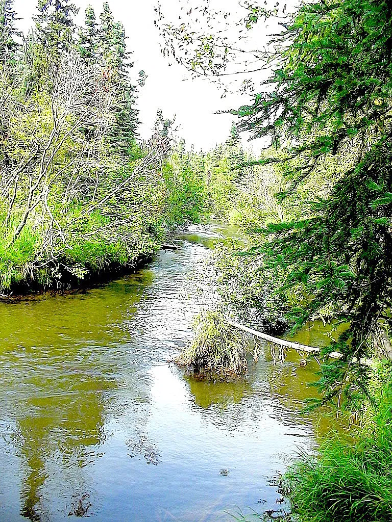 Deluxe One Bedroom in South Anchorage on the Creek — Photo 4