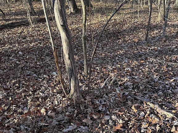 3rd image of 3107 Smith Sims Rd #3107