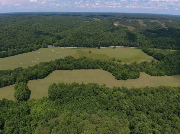 2140 Bear Creek Rd, Collinwood, TN 38450