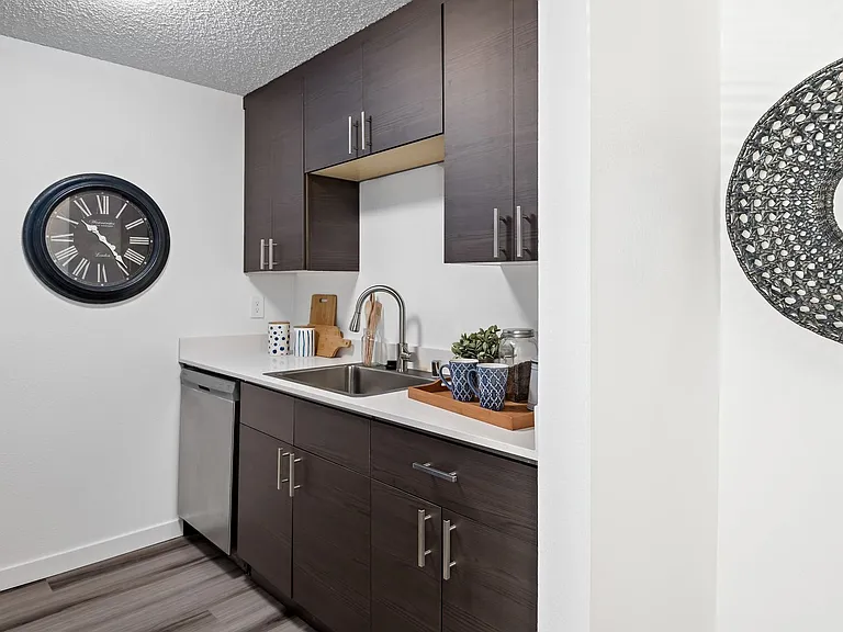 Canopy Apartments — Photo 37