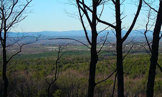 1st image of 150 Black Bear Ln #5.07