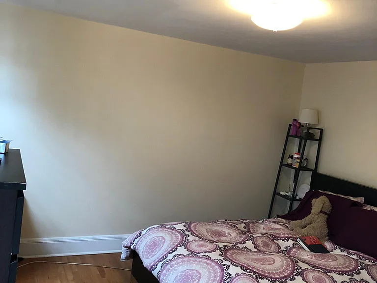 829 Federal St #3 — Photo 3