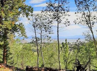 1269 Blacksmith Rd #1408, Hartsel, CO 80449