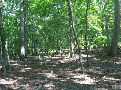 Tbd Alexander Dr, Chapel Hill, NC, 27514