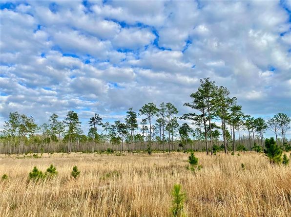 (undisclosed Address), Land O Lakes, FL 34637