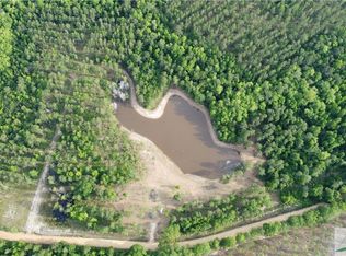 0 Old Manassas Foy Rd LOT 3, Register, GA 30452