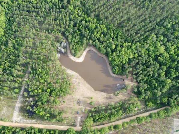 0 Old Manassas Foy Road #Tract 3, Register, GA 30452