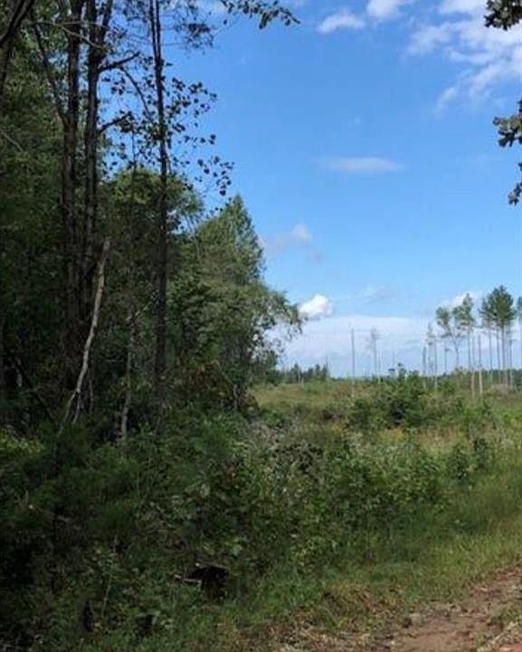2nd image of 2701 Camp Crusade Rd Building B1