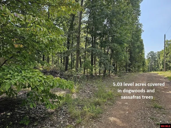 229 Elmbrook Ln, Yellville, AR 72687