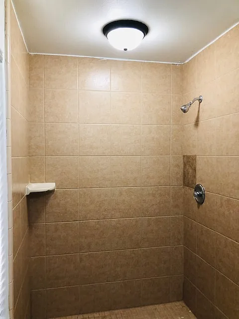1 bed, 350 sqft, $550 — Photo 3