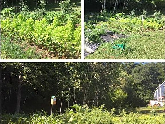 Green Thumb?  The Association offers community garden space.