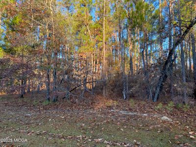 0 Oak Ridge Dr, Butler, GA, 31006