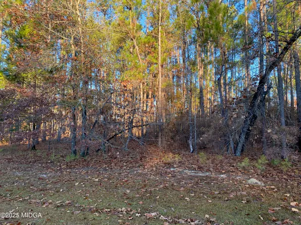 0 Oak Ridge Dr, Butler, GA 31006