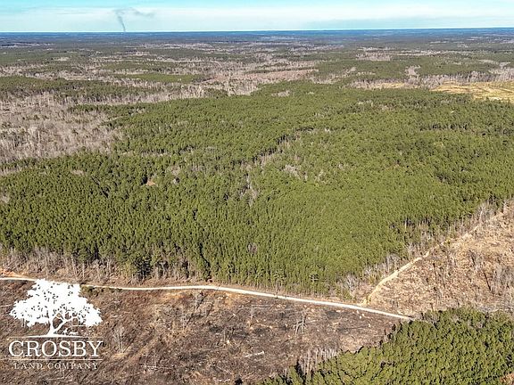 Dji 20260212145640 0005 D