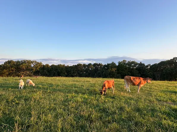 1665 North State Hwy 125, Rueter, MO 65744