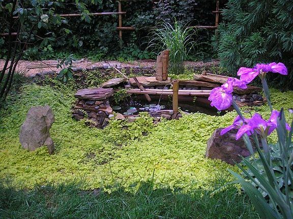 Japanese garden