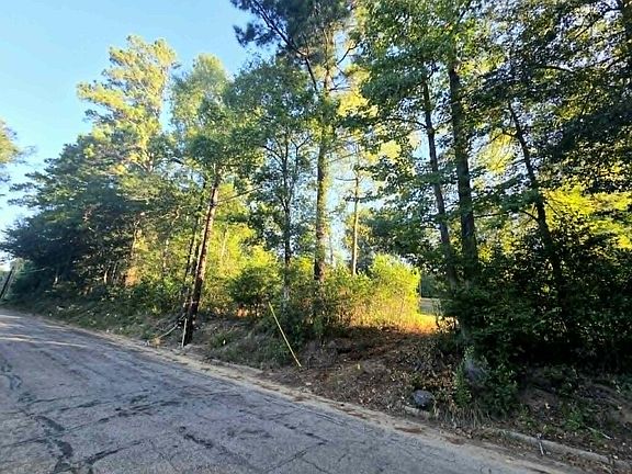 2nd image of 1601 Tanglewood Cir