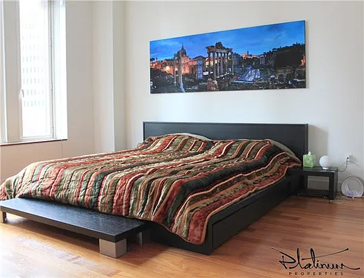 Rented by Platinum Properties | media 11