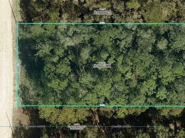 R01-221-17-3357-5520-0170 CEDARWOOD AVENUE LOT 17, WEEKI WACHEE, FL 34614