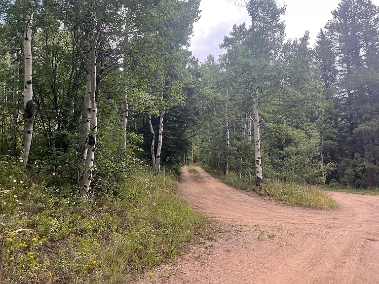 Private driveway steps from a trailhead. There is no parking for hikers at the trailhead (parking is out on county road) so rarely any cars on this road