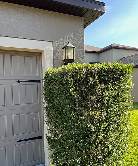 7779 Purple Finch St — Photo 50