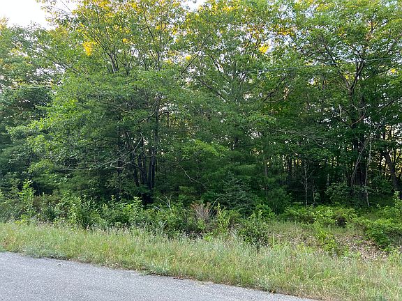 5th image of Balsam Dr