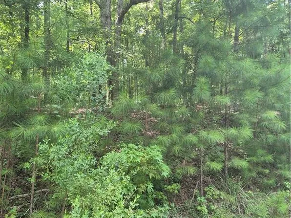 441 S Steel Bridge Rd #98-3, Eatonton, GA 31024
