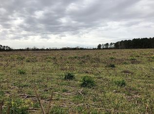 Rowe Dr, Santee, SC 29142