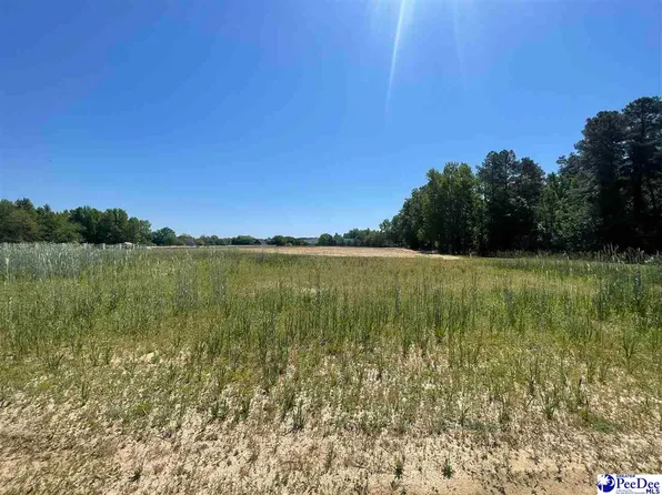 Devonshire Rd, Lake City, SC 29560