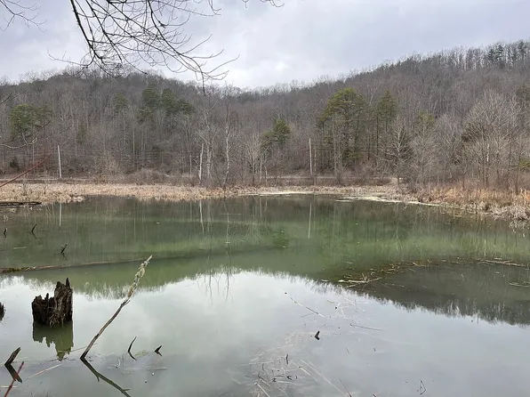 2558 Westbourne Rd, Duff, TN 37729